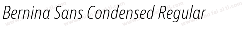 Bernina Sans Condensed Regular字体转换